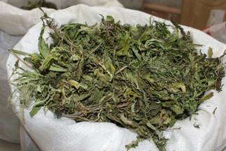 У пассажира поезда «Кызылорда-Семей» изъято 5 кг марихуаны