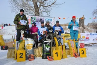 Семейчане выиграли в международных гонках на собачьих упряжках, прошедших в Павлодаре
