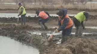 Дачный массив спасают от талых вод в Семее