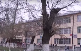 Семилетнему мальчику из ЮКО требуется квалифицированная помощь психолога