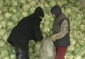 Овощей из стабфонда хватит до конца мая
