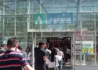 Казахстанцы обеспокоены слухами об отмене визового режима для граждан Китая
