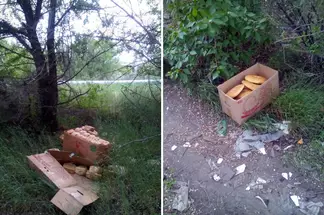Пользователи Сети осуждают поступок людей, выбросивших в Семее несколько коробок с хлебом и лепешками