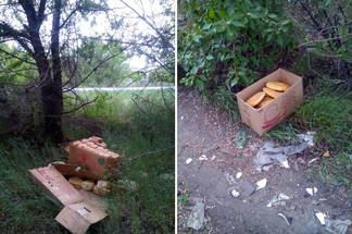 Пользователи Сети осуждают поступок людей, выбросивших в Семее несколько коробок с хлебом и лепешками