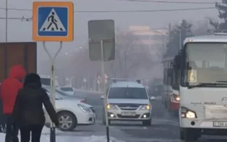 Вопиющую историю людского равнодушия рассказала маленькая жительница Талдыкоргана