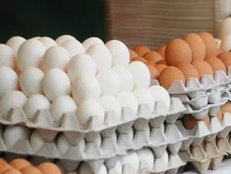 В Семее не хватает куриных яиц местного производства