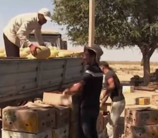 В Туркестанской области продавцы арбузов устроили перестрелку