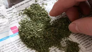 Мужчину с марихуаной задержали полицейские Семея
