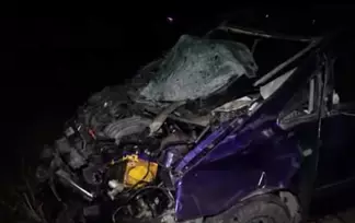 В Казахстане легковой автомобиль столкнулся с табуном лошадей