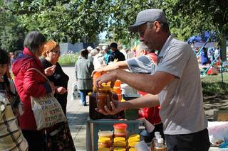 В Семее грозит исчезнуть профессия пчеловода