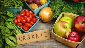В Казахстане не выдано ни одного сертификата на органические продукты