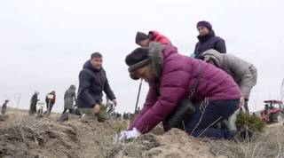Акция «Всеказахстанский день посадки деревьев» прошла в Семее