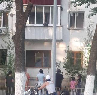 Медвежонок разгуливал по балкону пятиэтажного дома в Уральске