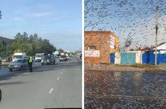 Павлодарец обстрелял пять пассажирских автобусов