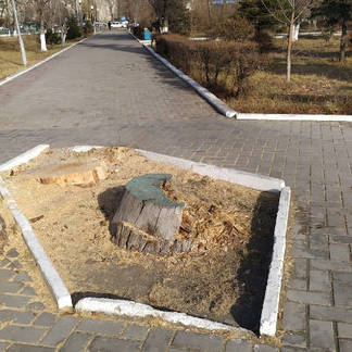Деревянную скульптуру Маншук Маметовой убрали из парка Семея