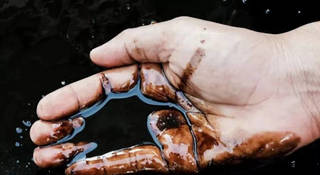 Признаки нефти обнаружены на юге Казахстана