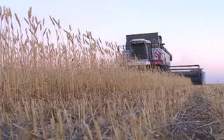 Производителей 6 видов продукции будет поддерживать государство