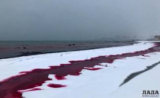 Вода у берегов Атырау покрасилась в красный цвет