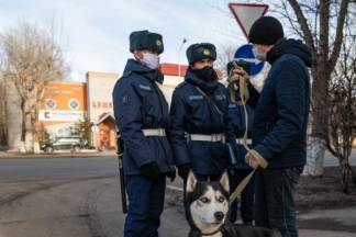 Борьба с коронавирусом не должна превращаться в войну с населением