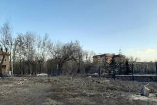 В Семее участок с деревьями вырубили под парковку для полицейских