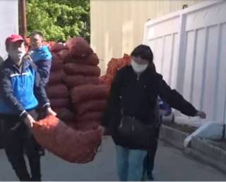 Нуждающимся семьям раздали 22 тонны семенного картофеля в Семее