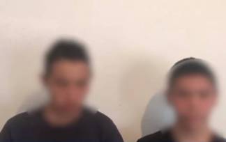 Подростки заживо сожгли щенка. Казахстанцы просят более строгого наказания