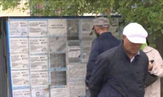 Число обращений по поиску работы в период карантина возросло на 20%