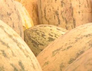 Дыня по цене килограмма мяса: дорожают продукты в Казахстане