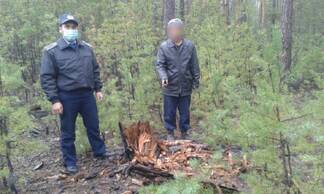 В ходе проведения ОПМ «Браконьер» полицейские ВКО выявили более 120 правонарушений