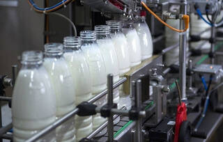 Новое производство в условиях кризиса. В Петропавловске запускается молочный завод