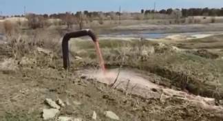 Причину «кровавых рек» в Семее устранили