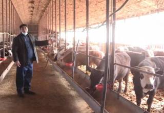 Двадцать пять ферм в Туркестанской области под угрозой сноса