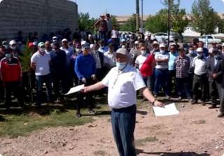 «Коровий бунт» в Туркестанской области: сельчане пригнали скот на акцию протеста