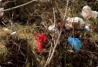 В Шымкенте христианские кладбища утопают в мусоре