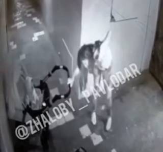 Жестокое избиение 10-месячного ребенка в подъезде попало на видео в Павлодаре