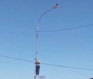 Видео «сбежавшей от вакцинации» обезьяны распространяют в Казнете