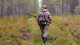 Какие лимиты установят для охотников в Казахстане