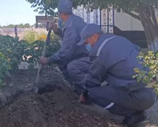 В Карагандинских колониях обнаруживать подкопы помогают лошади