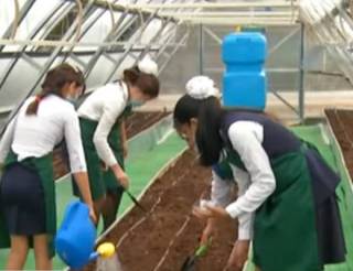Казахстанские школьники научатся выращивать зелень и овощи