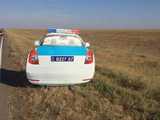 В Уральске пьяный мужчина украл макет патрульной машины