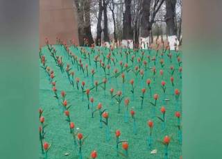Пластмассовые тюльпаны высадили ещё в одном городе Казахстана