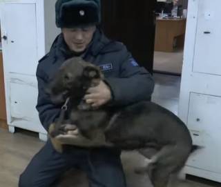 Собаку, похищенную у кинолога во время беспорядков, нашли и вернули