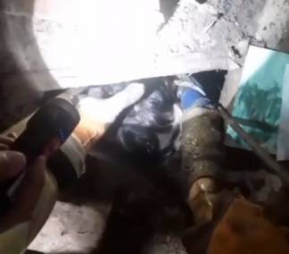 Спасатели достали ребенка из септика в Туркестанской области