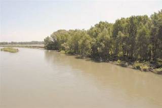 Мумифицированное тело мужчины нашли в полукилометре от реки в Семее