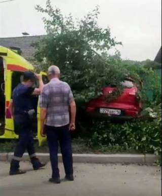 Автомобиль въехал в дерево после столкновения со скорой в Семее