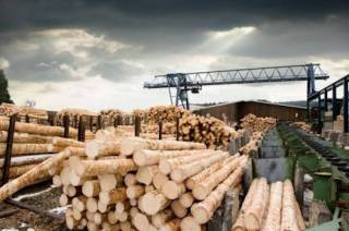 Из-за дефицита сырья в Костанае закрываются лесопилки