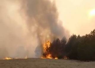 Два акима ответили за лесные пожары
