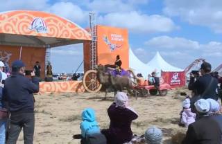 В Актюбинской области возродили знаменитую ярмарку «Жармола»