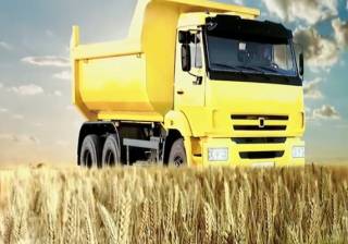 Запретить на полгода ввоз пшеницы автотранспортом планируют в Казахстане