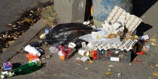 Власти Семея готовы платить горожанам за информацию о людях, выбрасывающих мусор в неположенных местах